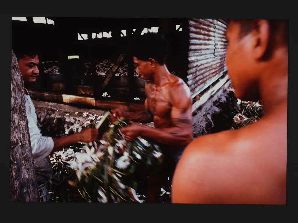 Arno Gasteiger (1962-) ‘Copra workers in Lalomalava Savai’I, Western Samoa June 1996’, colour photographic print, framed Image 1++